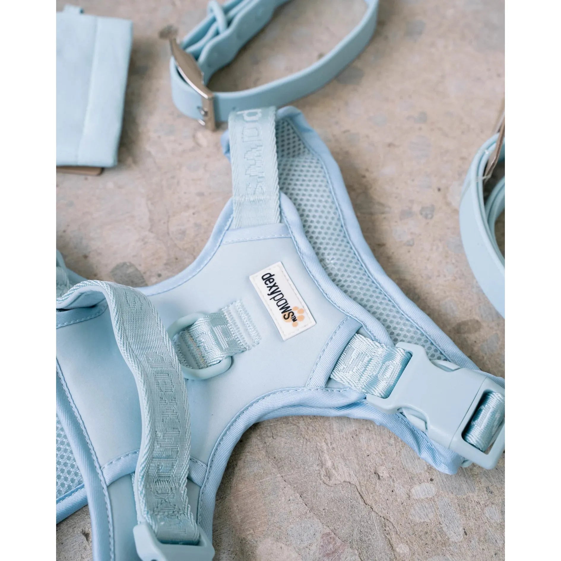 Dexypaws No-Pull Dog Harness, Sky Blue
