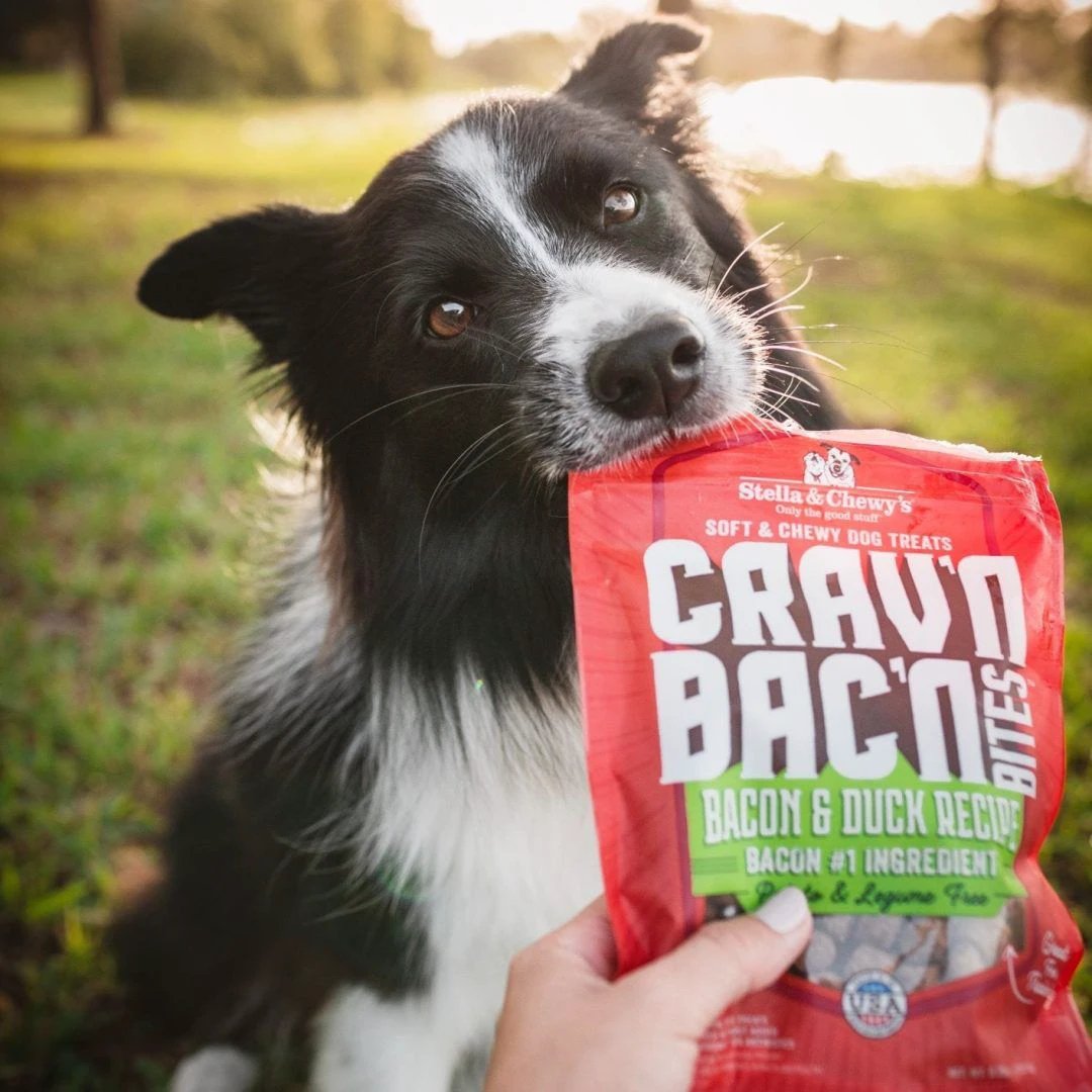 Stella & Chewy's - Cravn Bacn Bites Bacon & Duck Recipe Dog Treats by Stella & Chewy's
