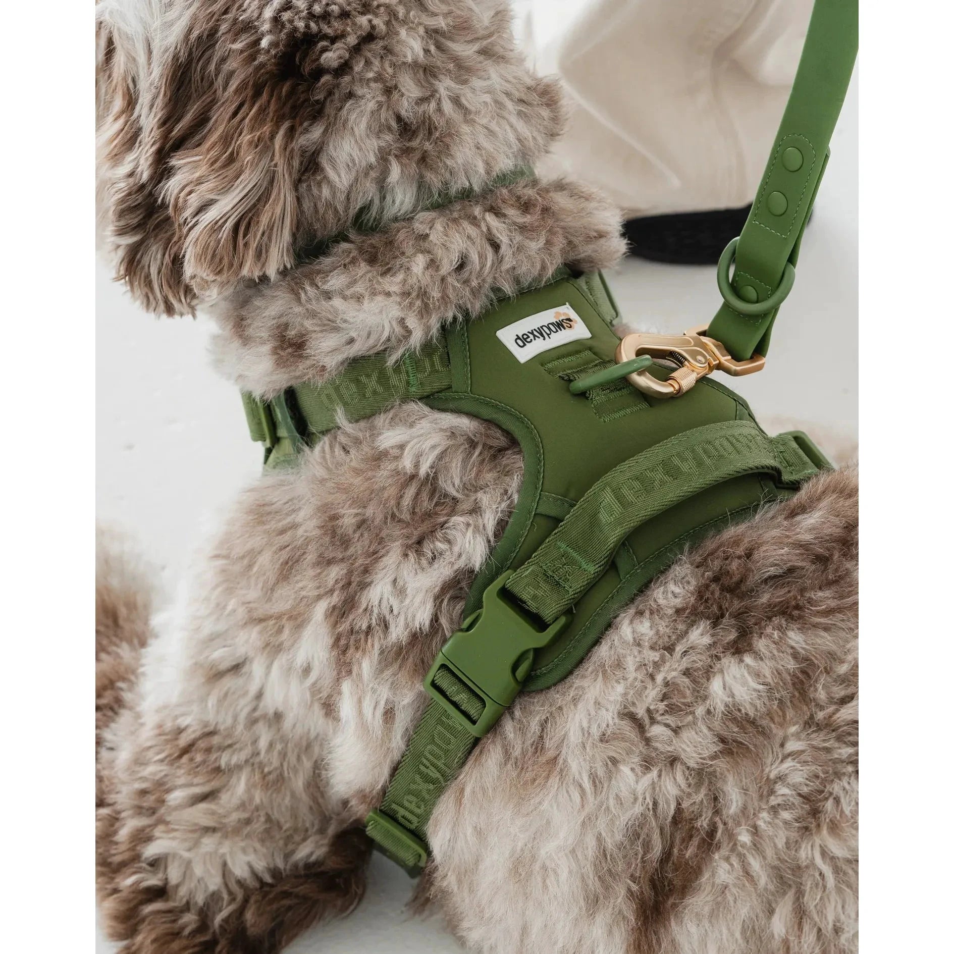 Dexypaws No-Pull Dog Harness, Green Camo by Dexypaws