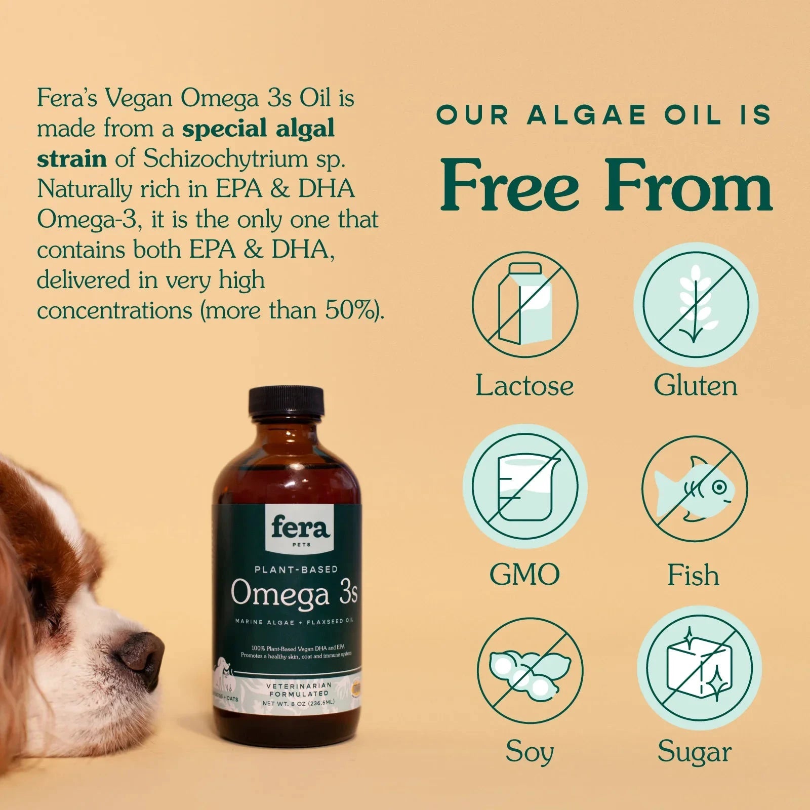 Fera Vegan Omega-3s Algae Oil for Dogs & Cats, Liquid – 8oz by Fera