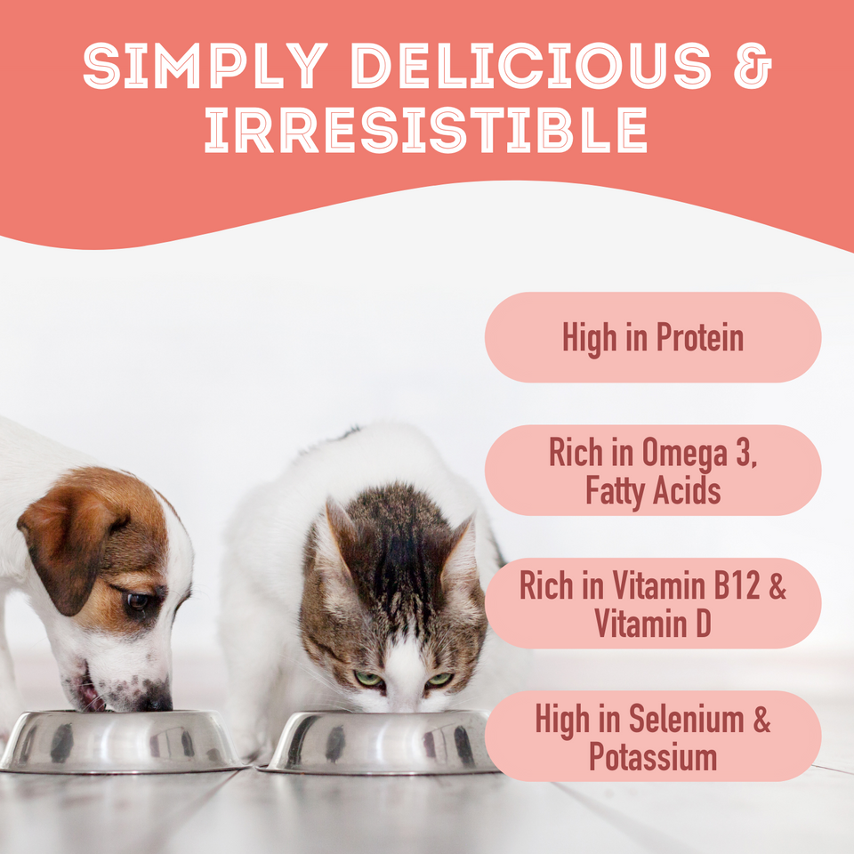 The Granville Island Best Treat in the Tunaverse Premium Freeze Dried Tuna Flakes Treat For Dogs & Cats