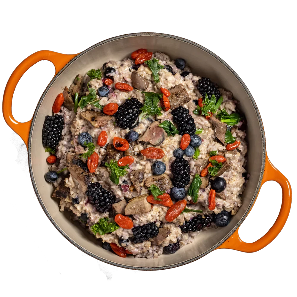 Tom&Sawyer Goji Berry Beef Gently-cooked Frozen Meals for Dogs by Tom Sawyer