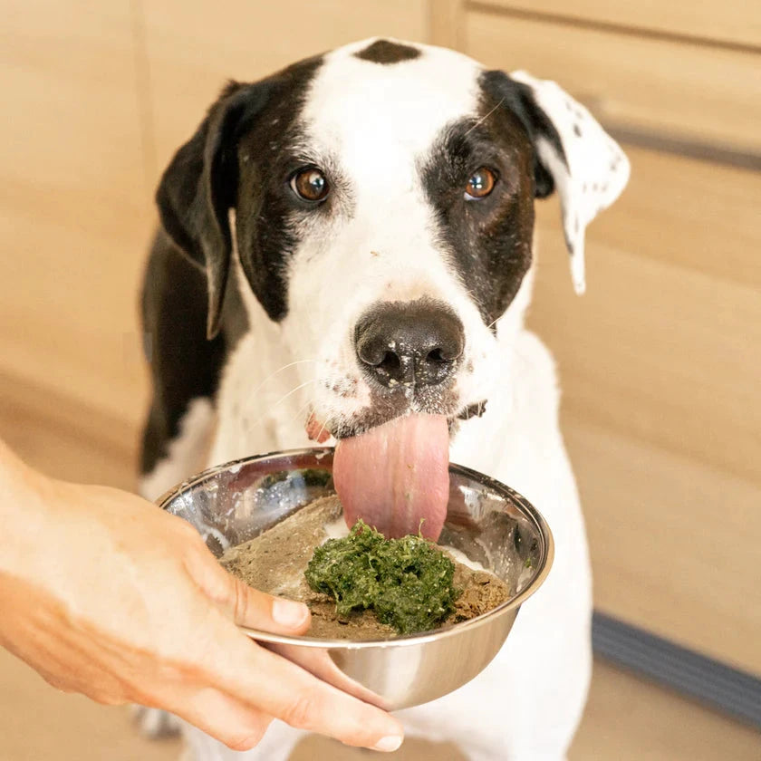 Green Juju Bailey's Blend Frozen Veggie Blend 425g