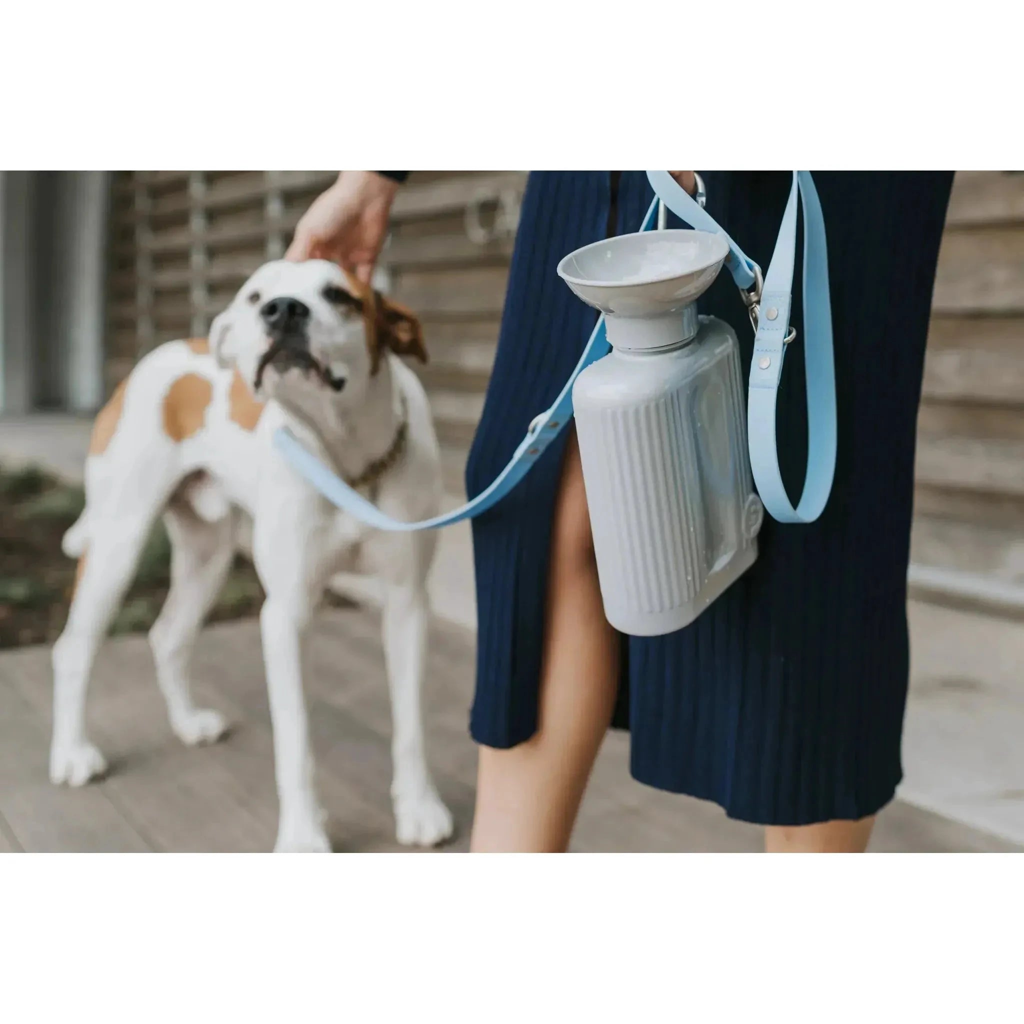 Springer Pets Travel Bottles With Fillable Bowl 44oz Growler - Sky Blue by springer