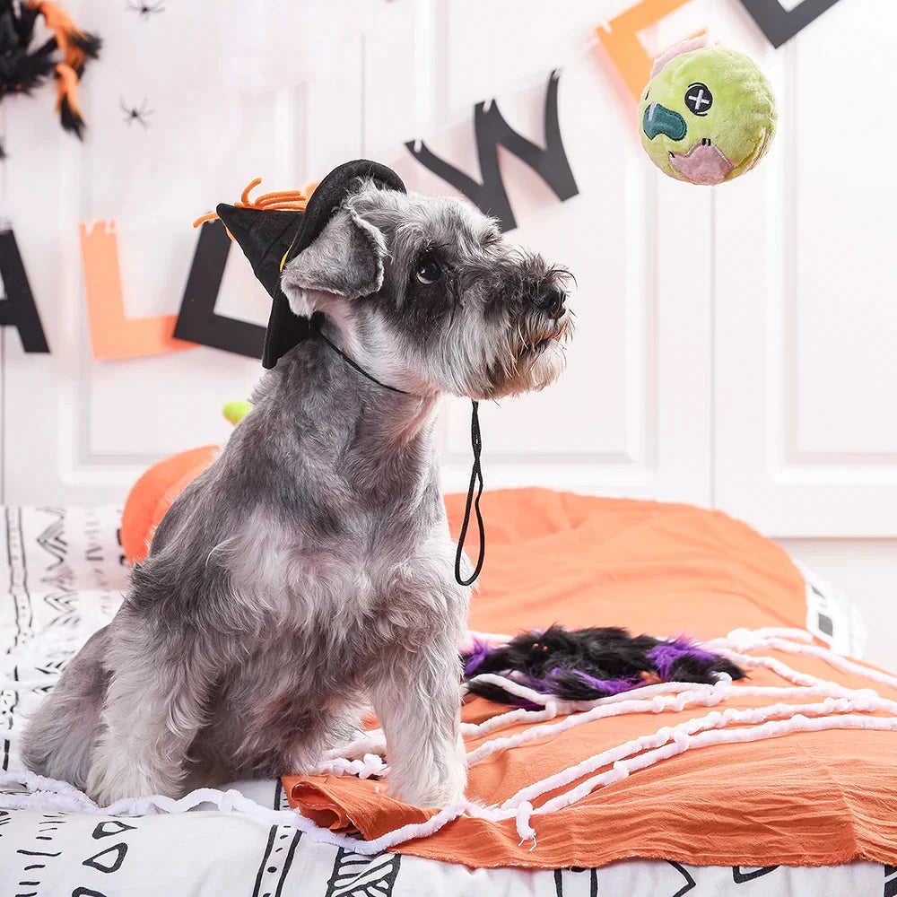 HugSmart Super Ball Howloween Nigh Zombie by HugSmart