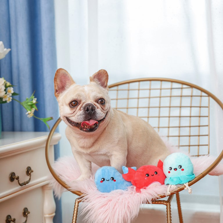 HugSmart Ocean Pals Sea Creatures Toy