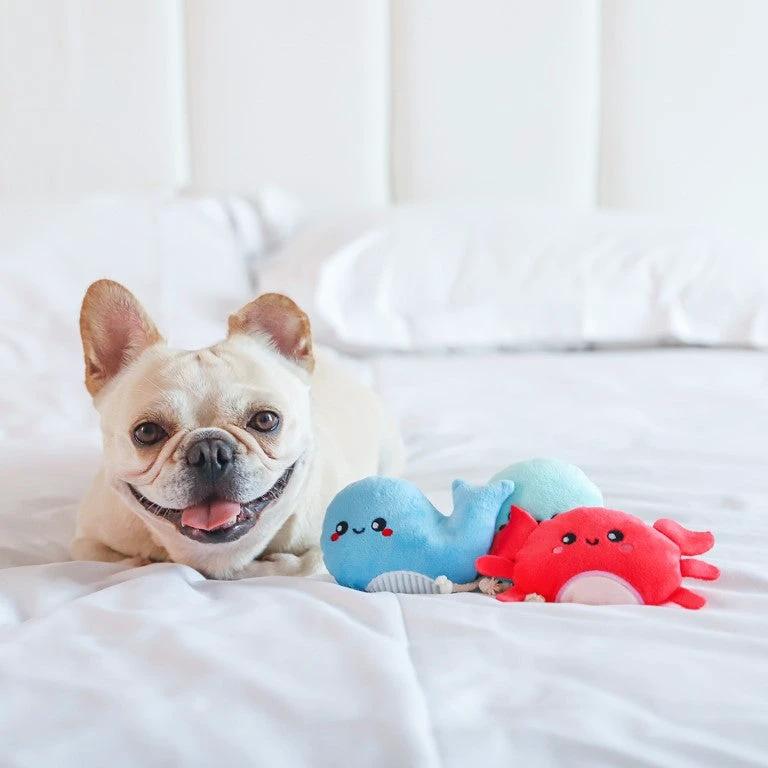 Jouet créatures marines HugSmart Ocean Pals