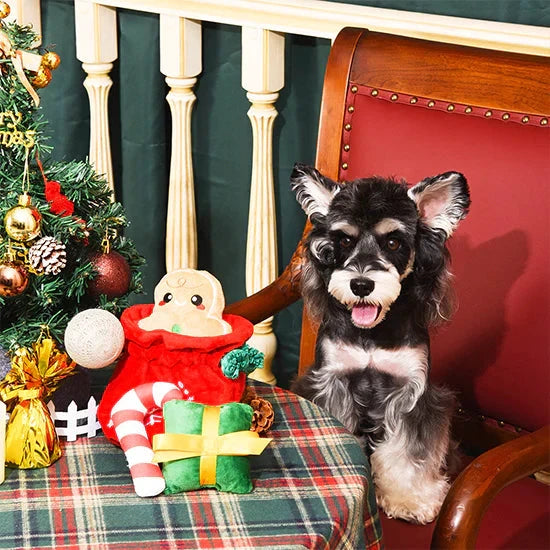 HugSmart Happy Woofmas Christmas Gift Bag DogT oy by HugSmart