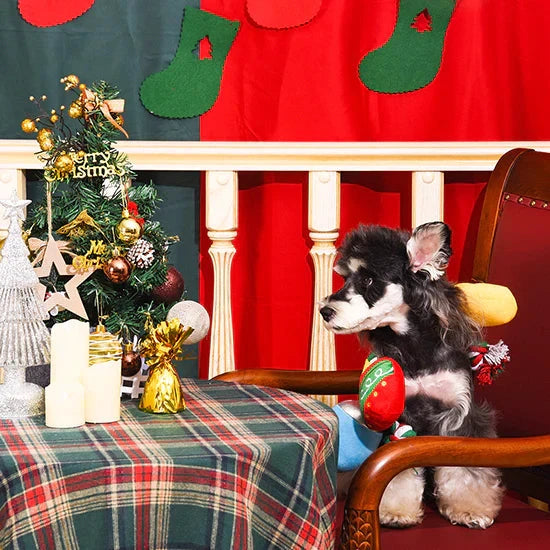 HugSmart Happy Woofmas Christmas Light Dog Toy by HugSmart