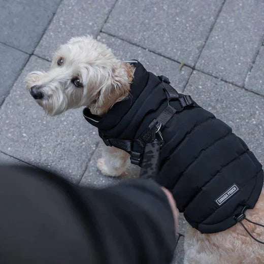 Canada Pooch Harness Puffer by Canada Pooch