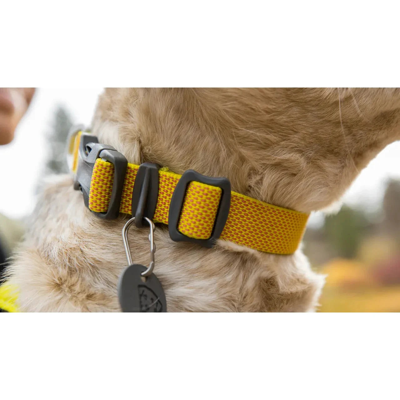 Ruffwear Hi & Light™ Lightweight Dog Collar by Ruffwear