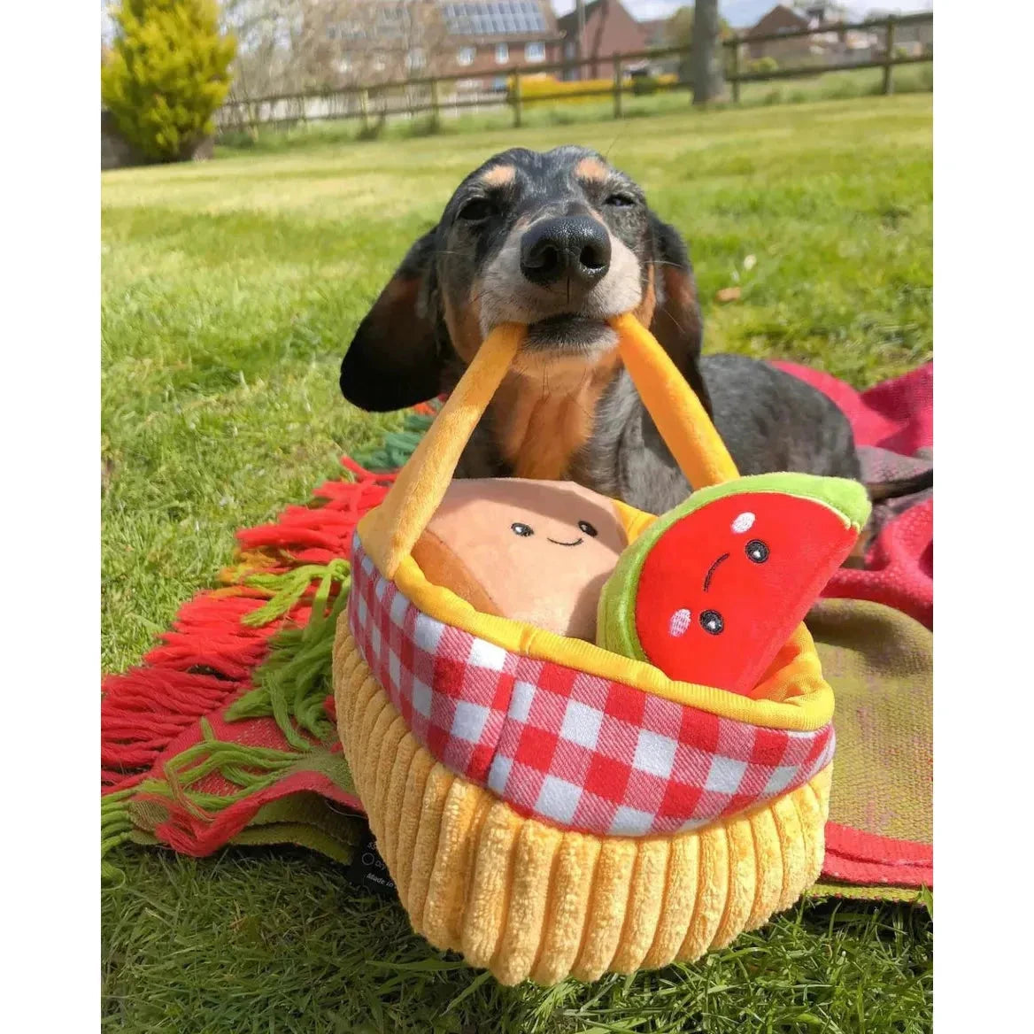 HugSmart Picnic Time-Picnic Basket by HugSmart