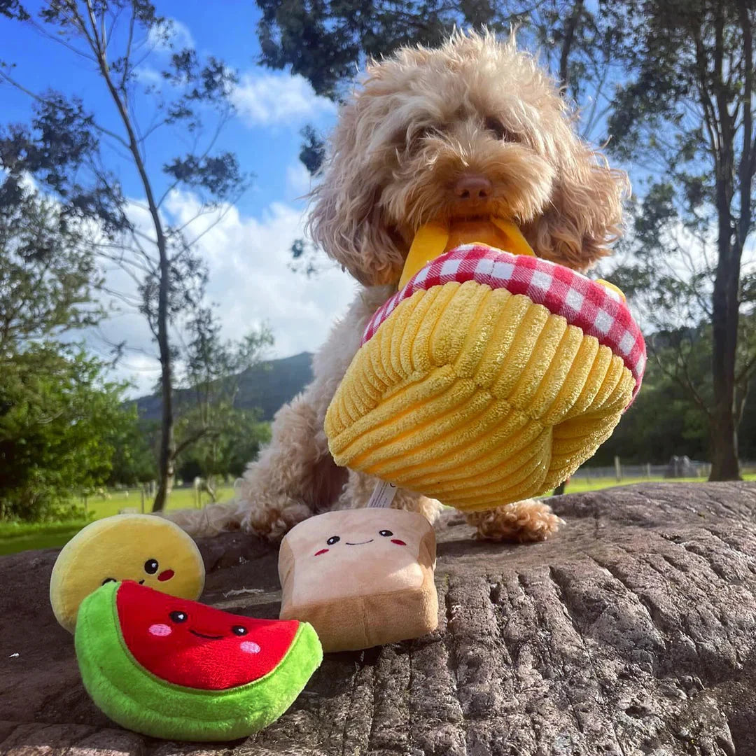 HugSmart Picnic Time-Picnic Basket by HugSmart