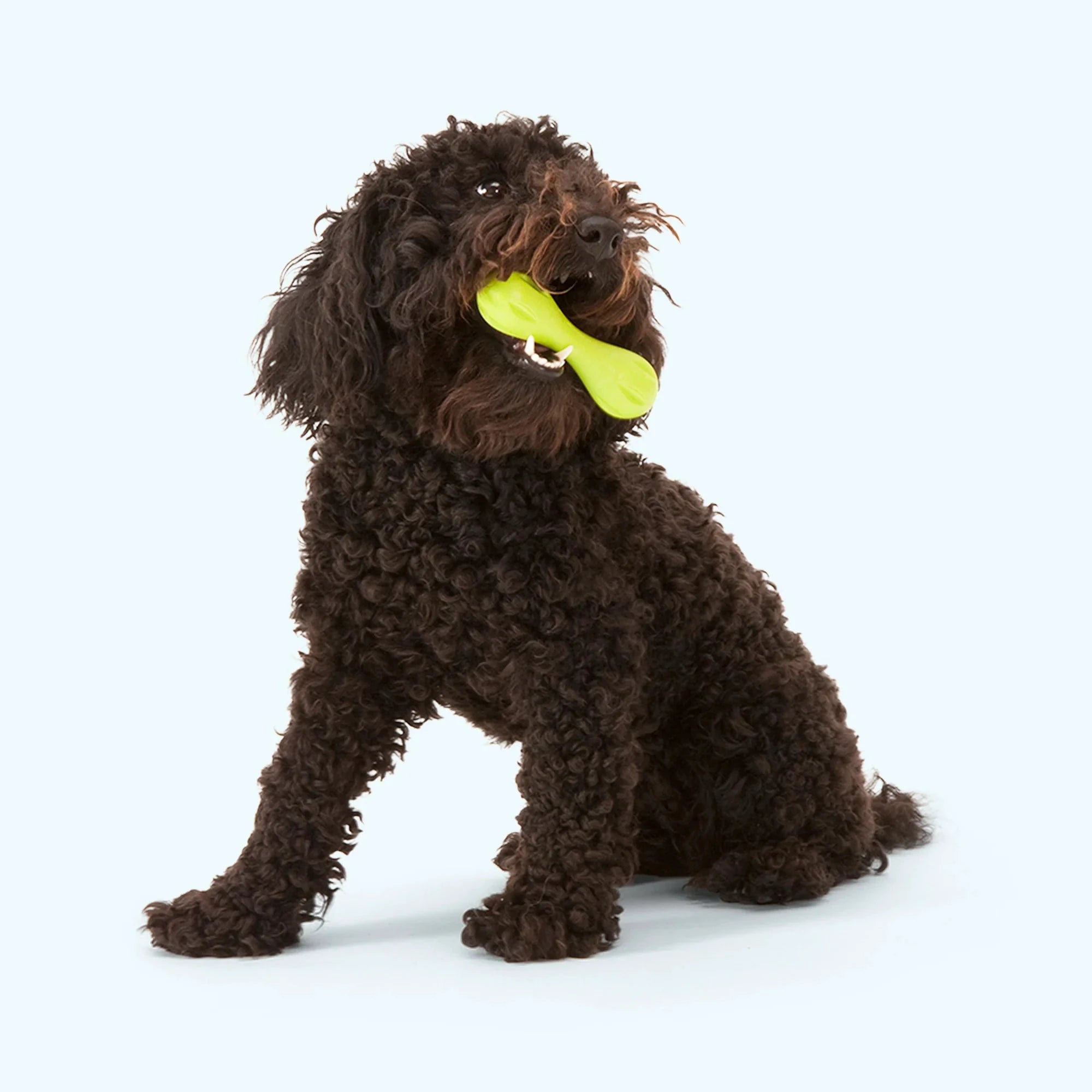 West Paw Toys Hurley Sunflower (Limited Edition) by West Paw