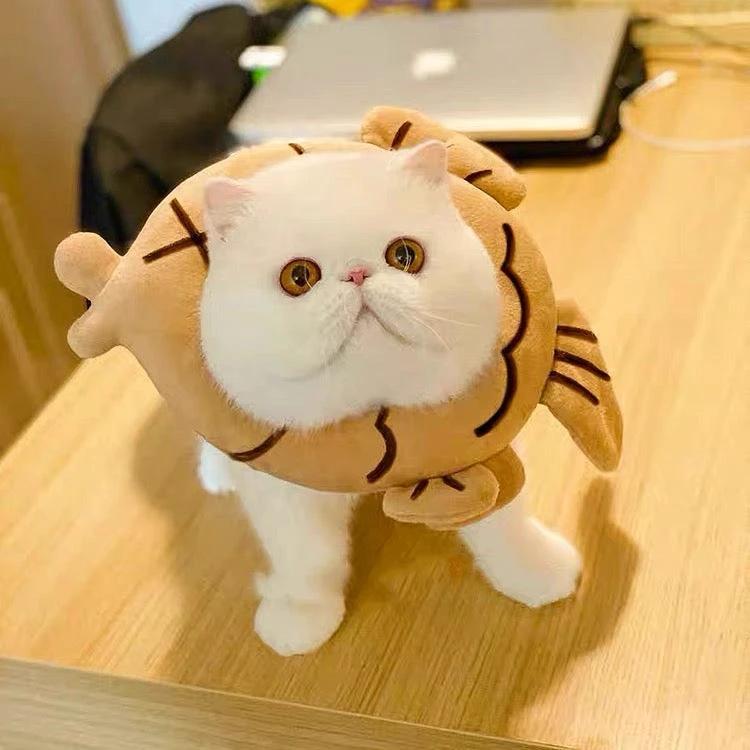 E-collar to Cats & Small dogs by The Pet's Fan