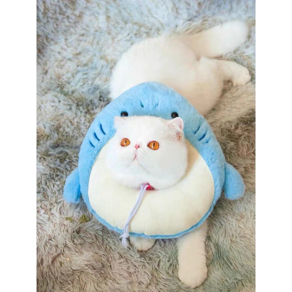 E-collar to Cats & Small dogs by The Pet's Fan