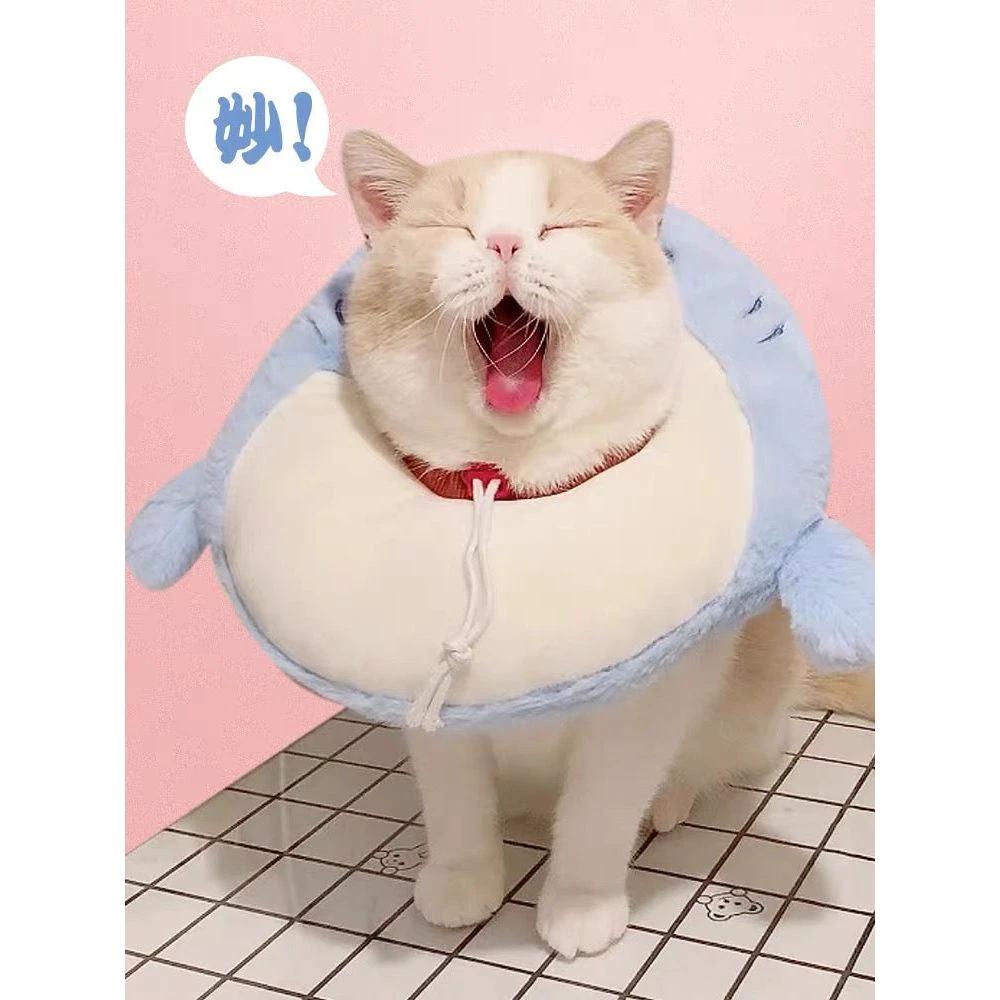 E-collar to Cats & Small dogs by The Pet's Fan