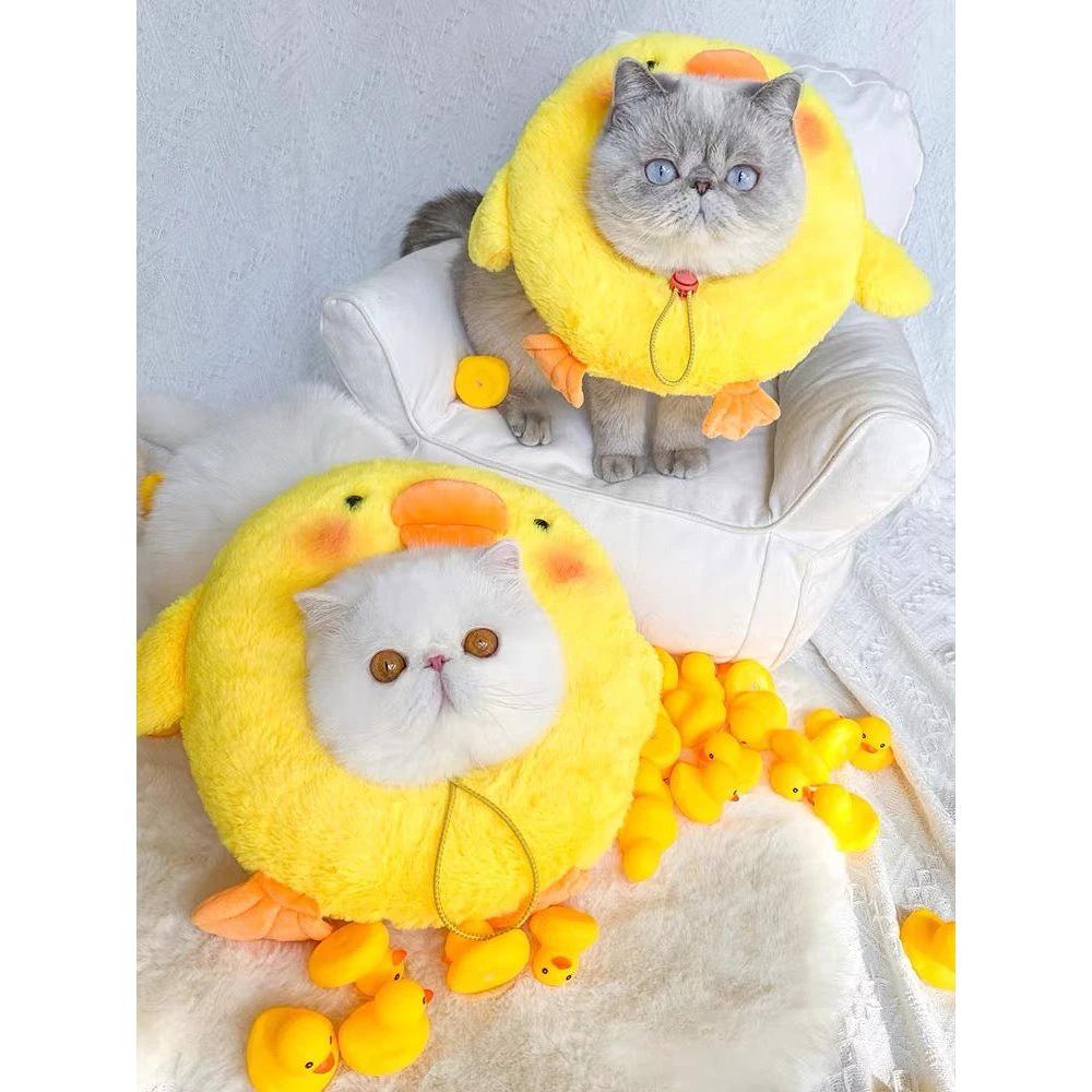 E-collar to Cats & Small dogs by The Pet's Fan