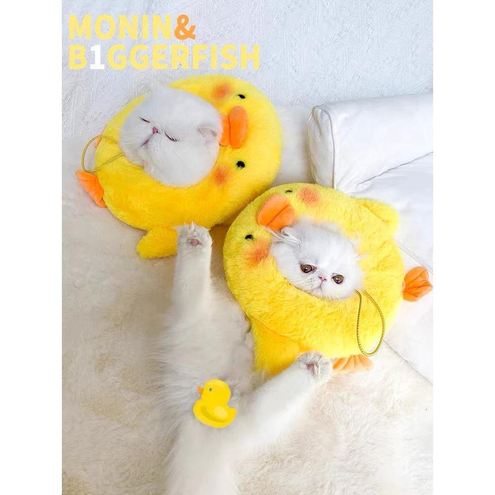 E-collar to Cats & Small dogs by The Pet's Fan