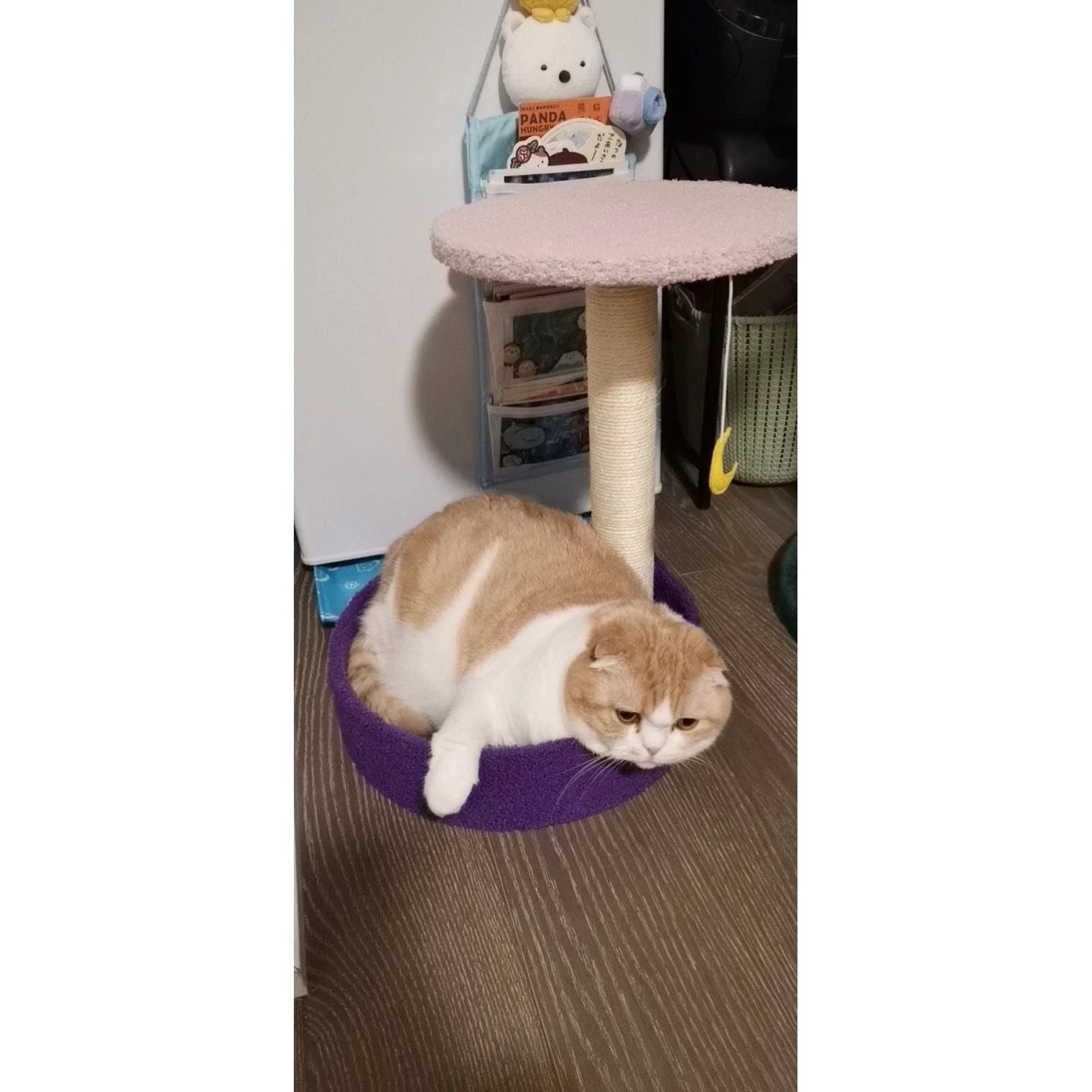 Mini Cat Trees by PawsNatural Pet Store