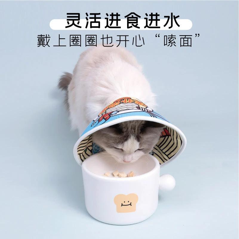 PurLab E collar Instant Noodles by Purlab