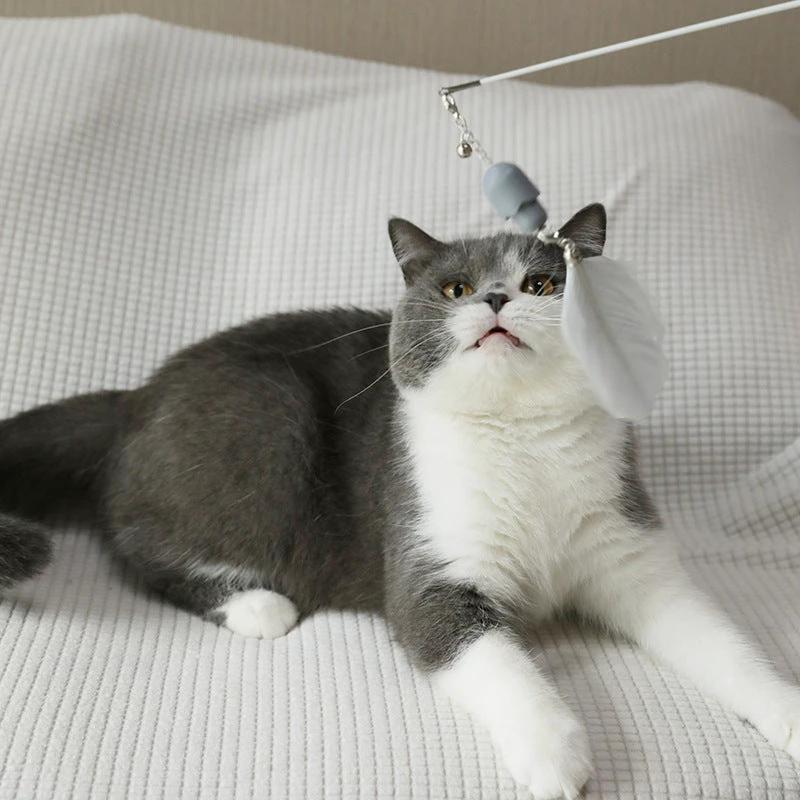 Pakeway Multifunctional Laser Cat Teaser by PakeWay