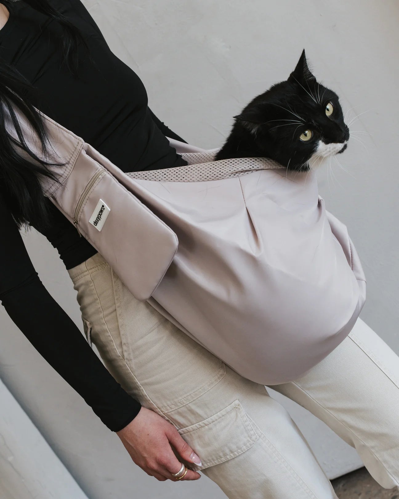 Dexypaws Beige Pet Travel Bag