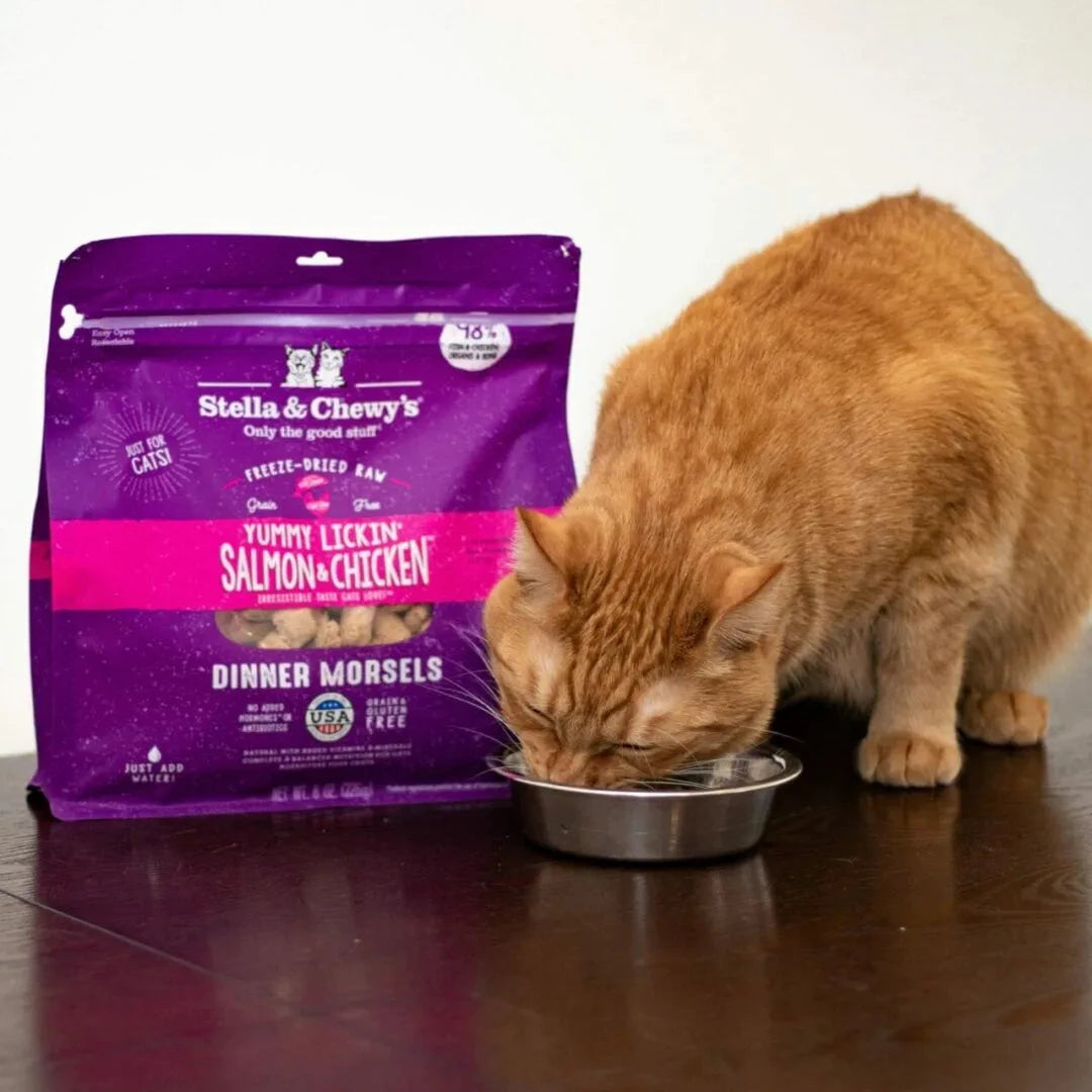 Stella & Chewy's Yummy Lickin Salmon & Chicken Freeze-Dried Raw Dinner Morsels by Stella & Chewy's