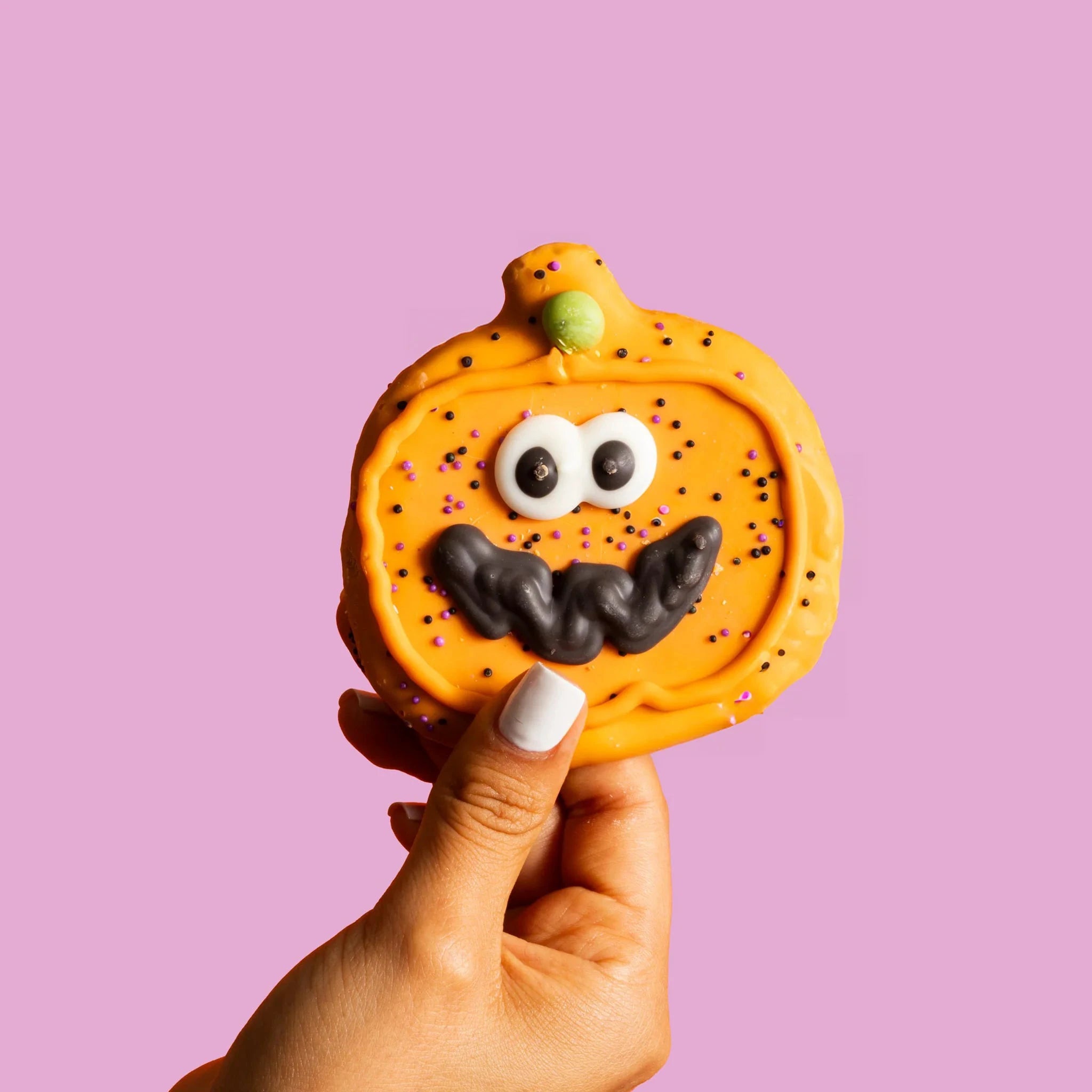 Bosco & Roxy's Sir Squash-a-lot | Halloween by Bosco & Roxy's