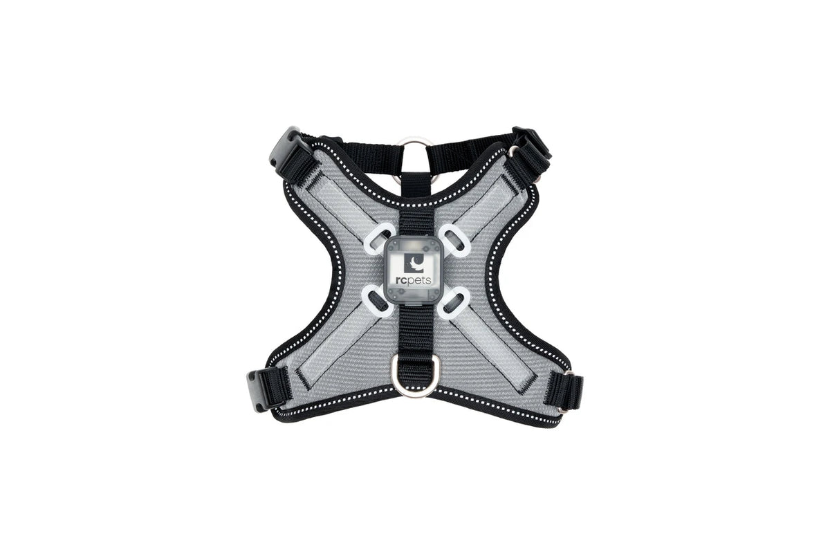 RC Pets Nova LED Light Harness