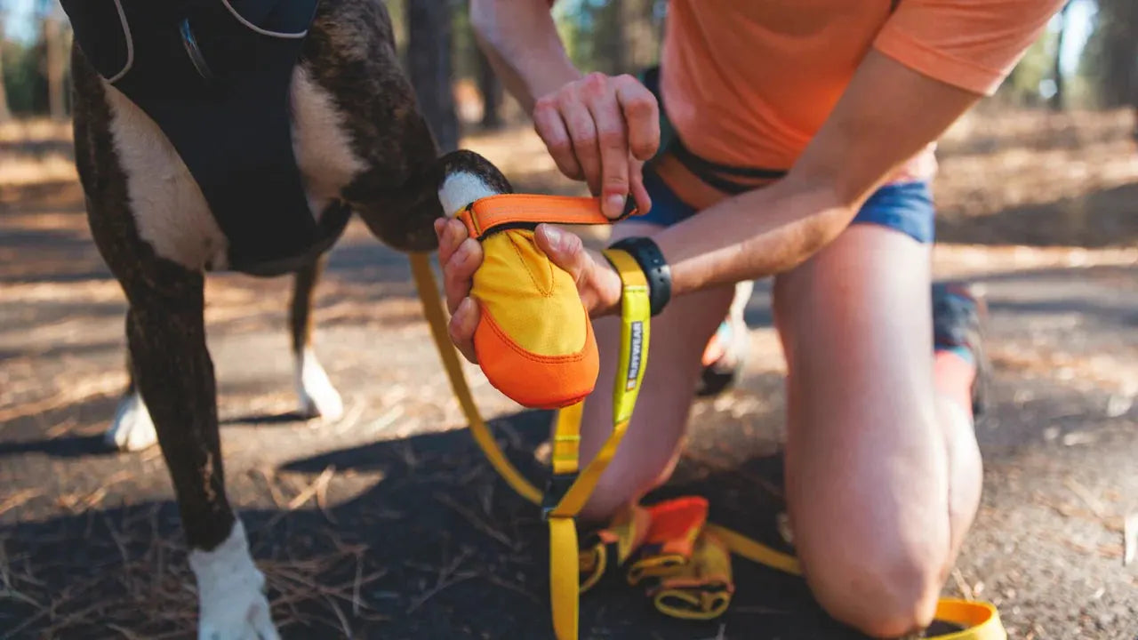 Ruffwear Summit Trex™ Dog Shoes by Ruffwear