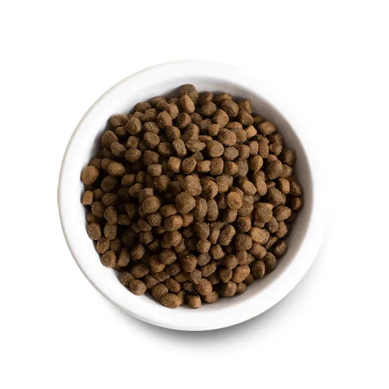Open Farm Farmer's Table Pork & Ancient Grains Dry Dog Food by OPEN FARM