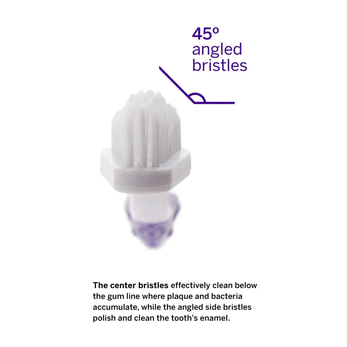 Petsmile Professional Pet Toothbrush - Patented 45 degree Dual-Ended Brush Head by Petsmile