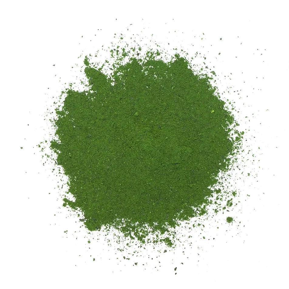 Adored Beast - Phyto Synergy | Super Antioxidant by Adored Beast