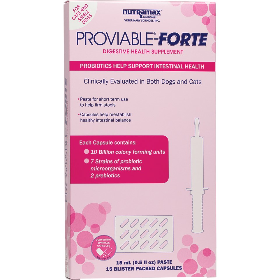 Nutramax Proviable Forte Kit (Paste & Capsules)
