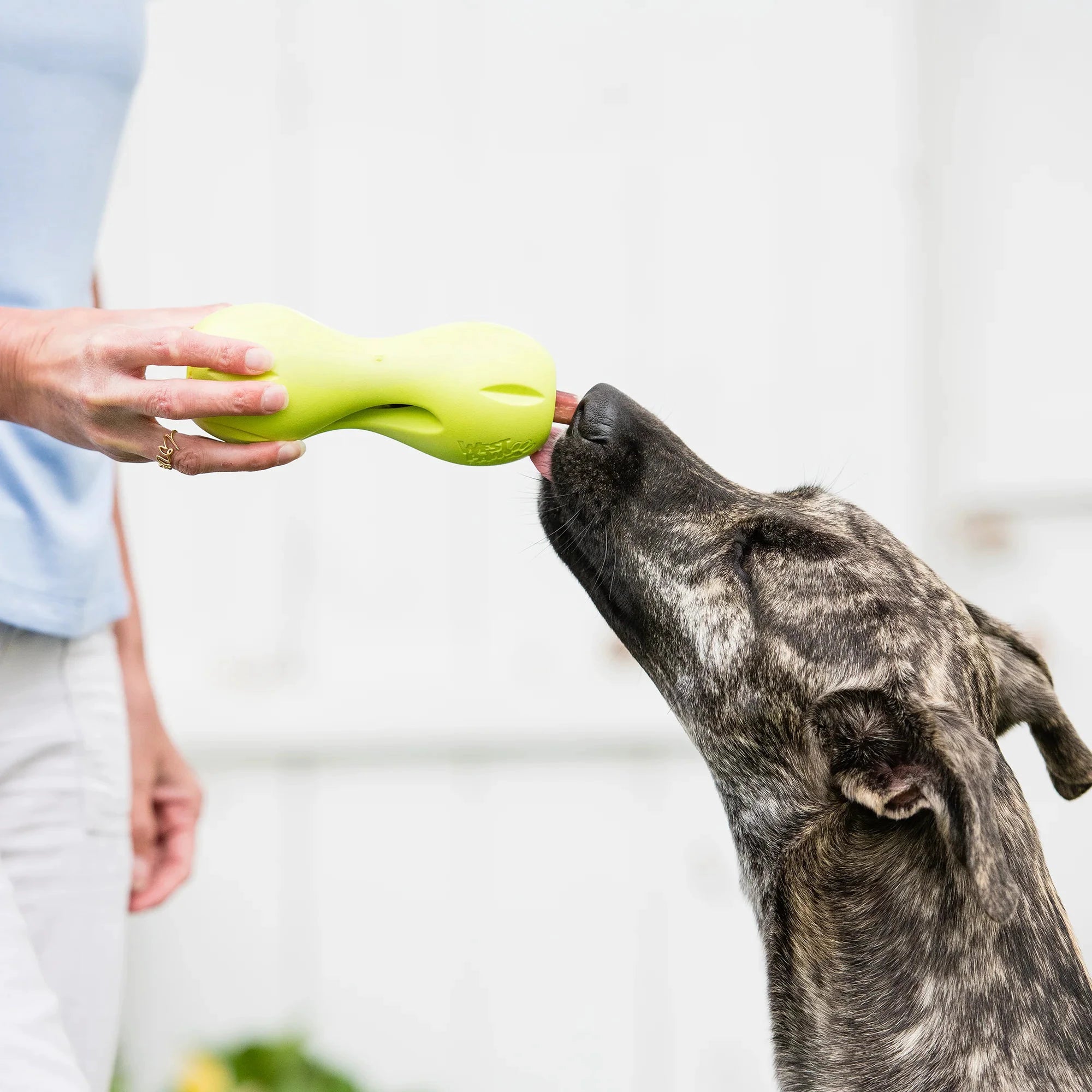 West Paw Treat Toys ZoGoFlex Qwizl by West Paw