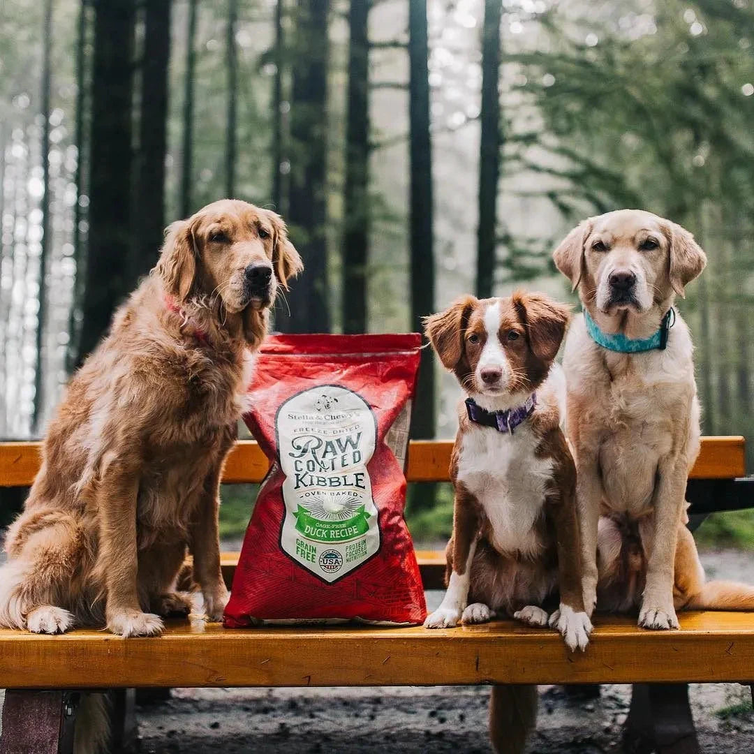 Stella & Chewy's Cage-Free Duck Raw Coated Kibble Dog Food by Stella & Chewy's