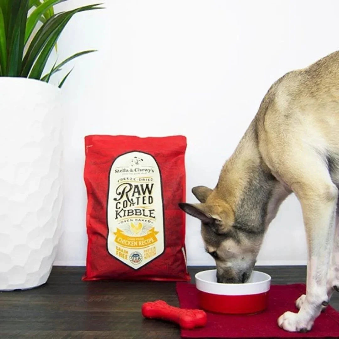 Stella & Chewy's Cage Free Chicken Raw Coated Kibble Dog Food by Stella & Chewy's