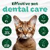 TropiClean Fresh Breath Oral Care Kit for Cats