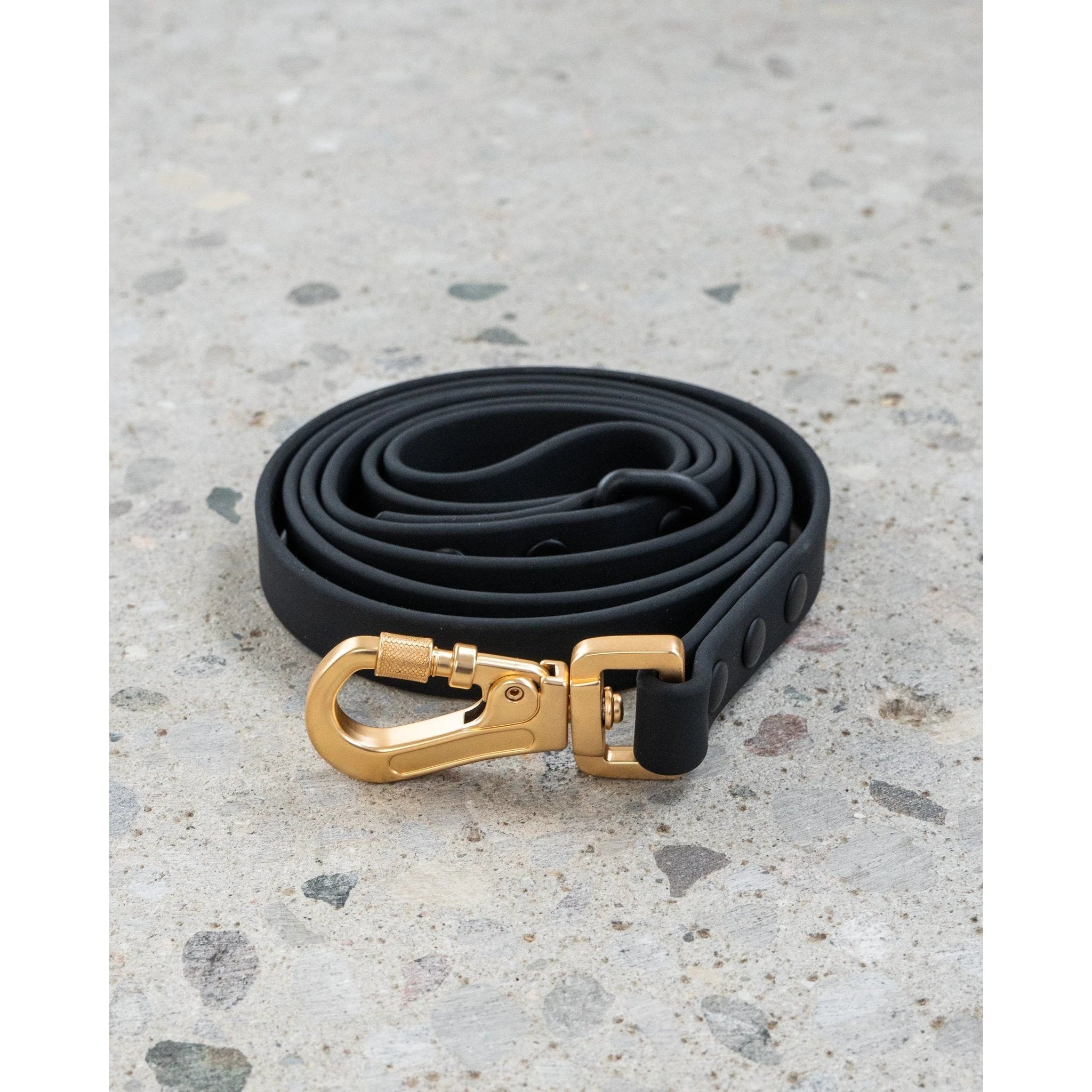 Dexypaws Waterproof Dog Leash by Dexypaws