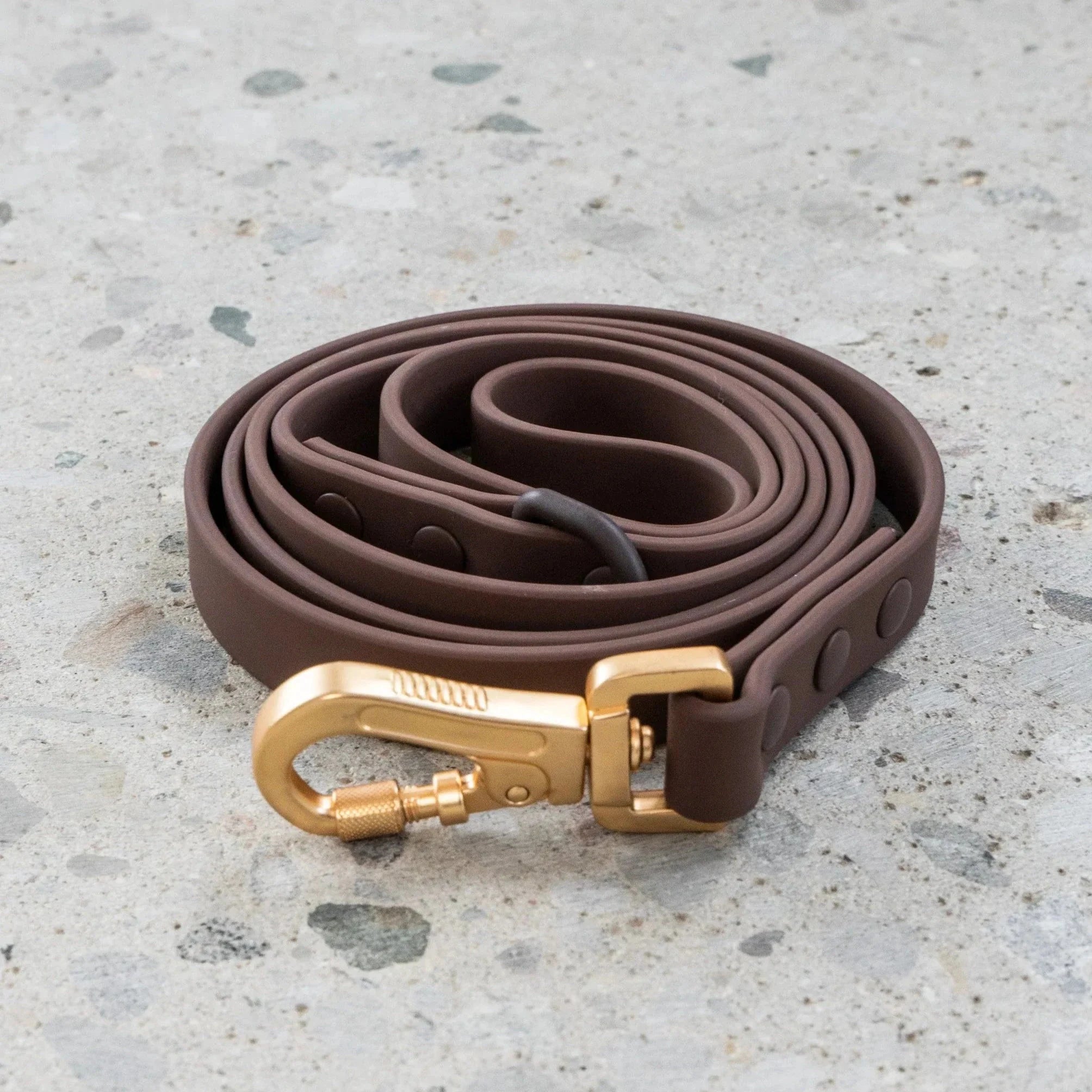 Dexypaws Waterproof Dog Leash by Dexypaws