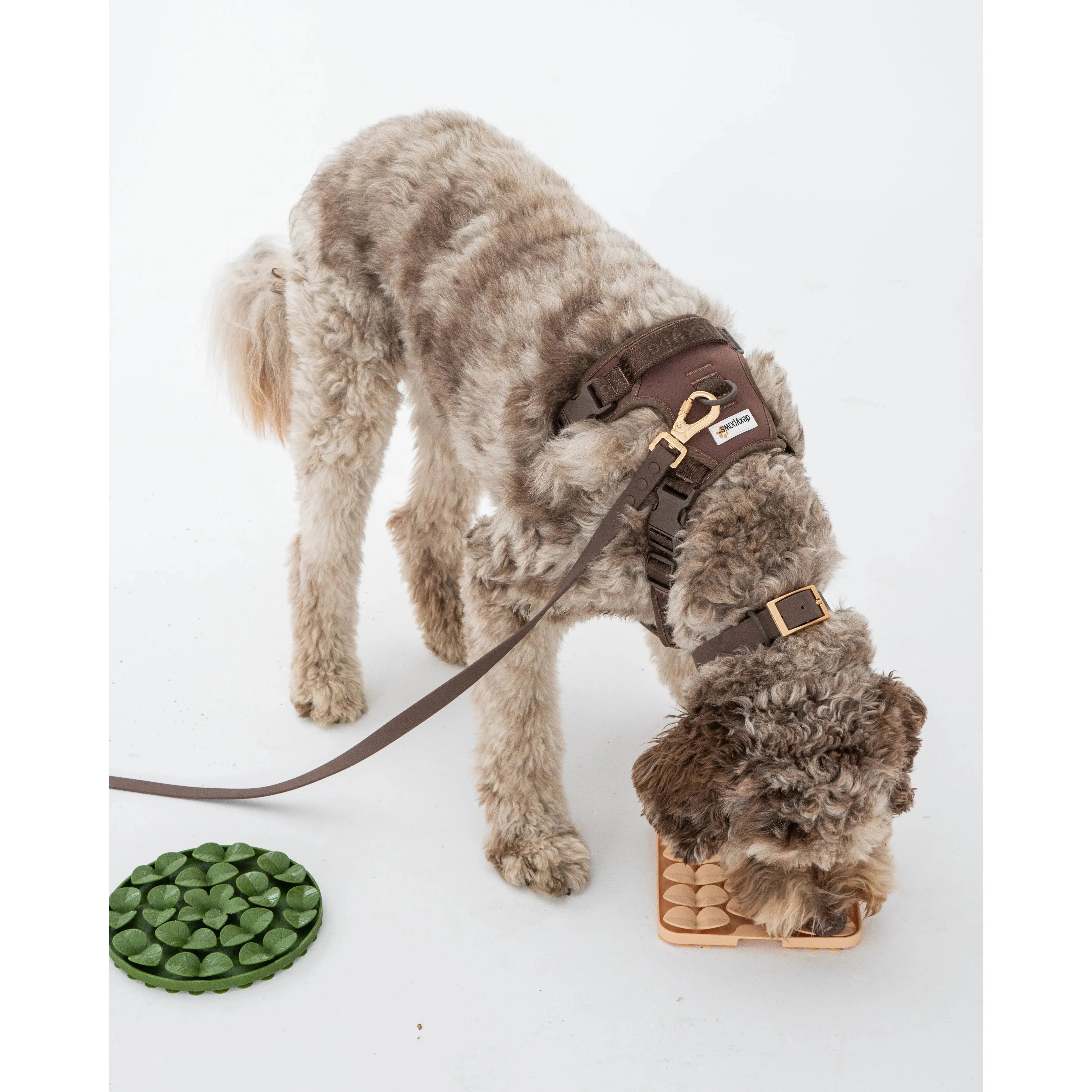 Dexypaws No-Pull Dog Harness, Espresso Medium Dog