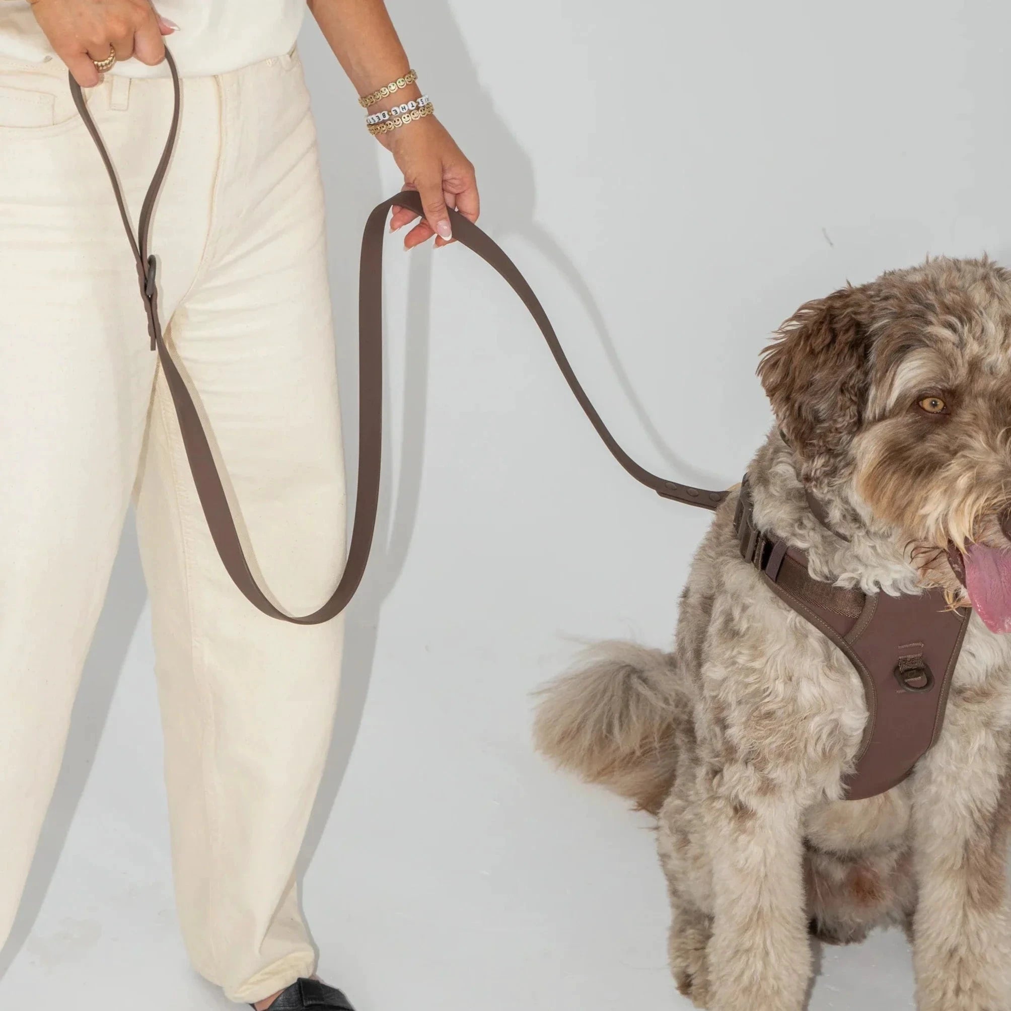 Dexypaws Waterproof Dog Leash by Dexypaws