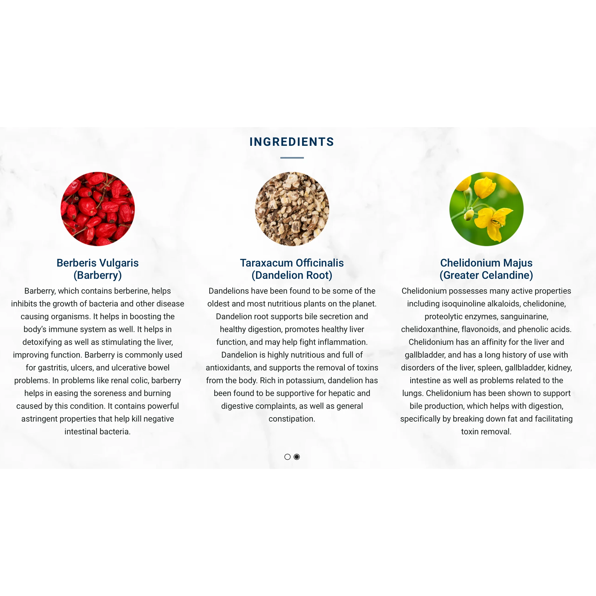 Adored Beast - Liver Tonic | Support & Detoxifier by Adored Beast