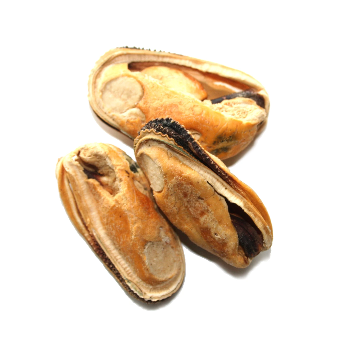 Woof Freeze Dried Dog Treats New Zealand Green Lipped Mussels - 1.76oz/50g by NZPF