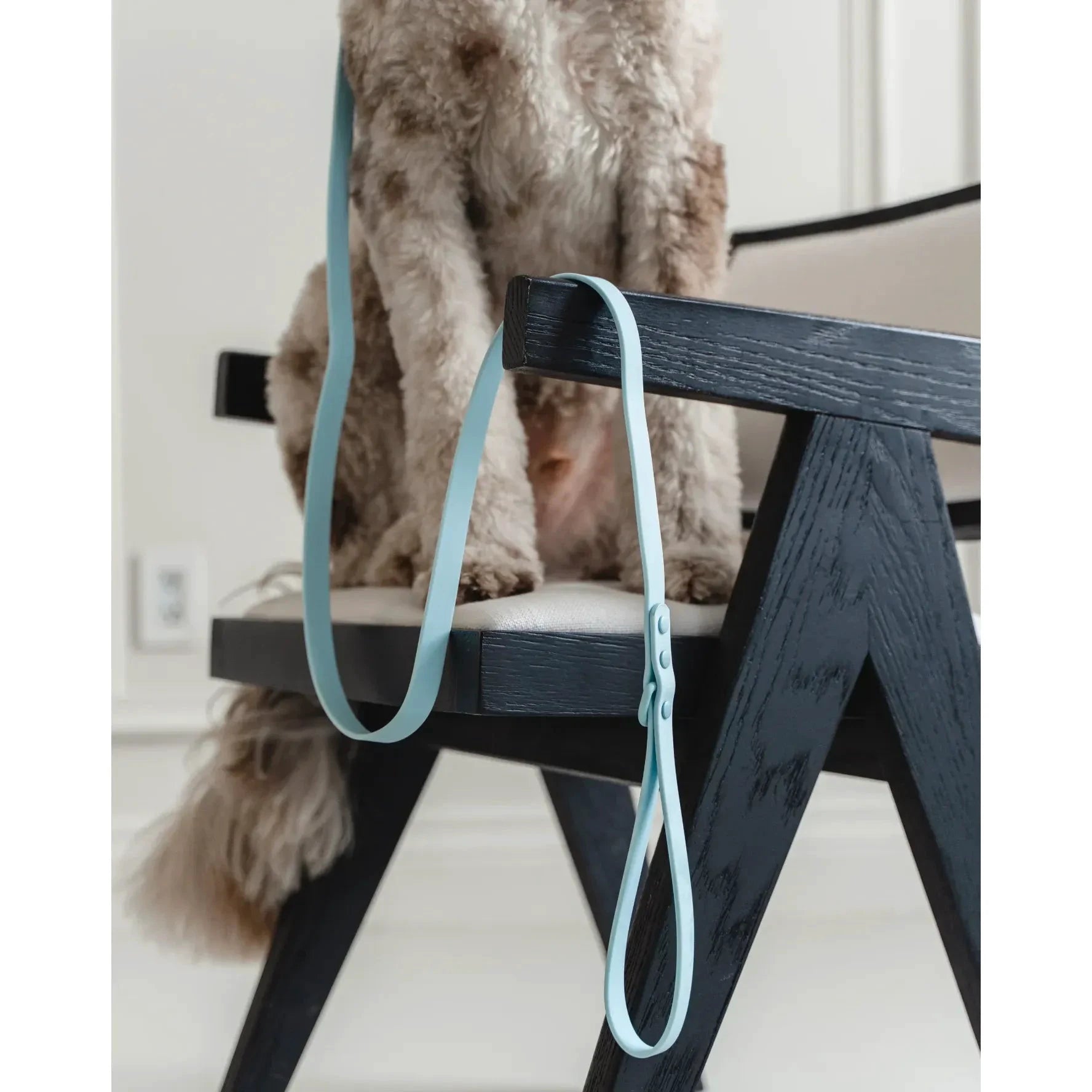 Dexypaws Waterproof Dog Leash by Dexypaws