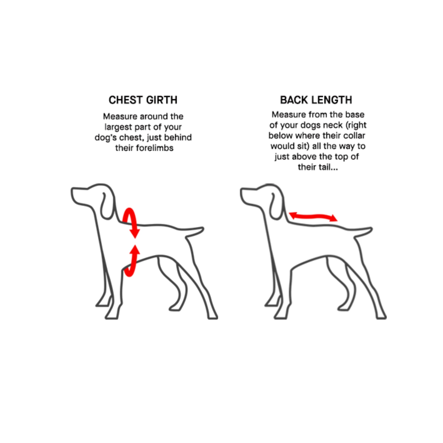 Canada Pooch The Snow Suit-Black by Canada Pooch