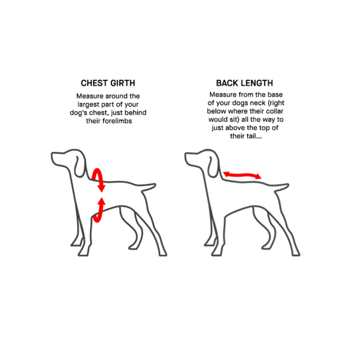 Canada Pooch Torrential Tracker-Rainbow by Canada Pooch