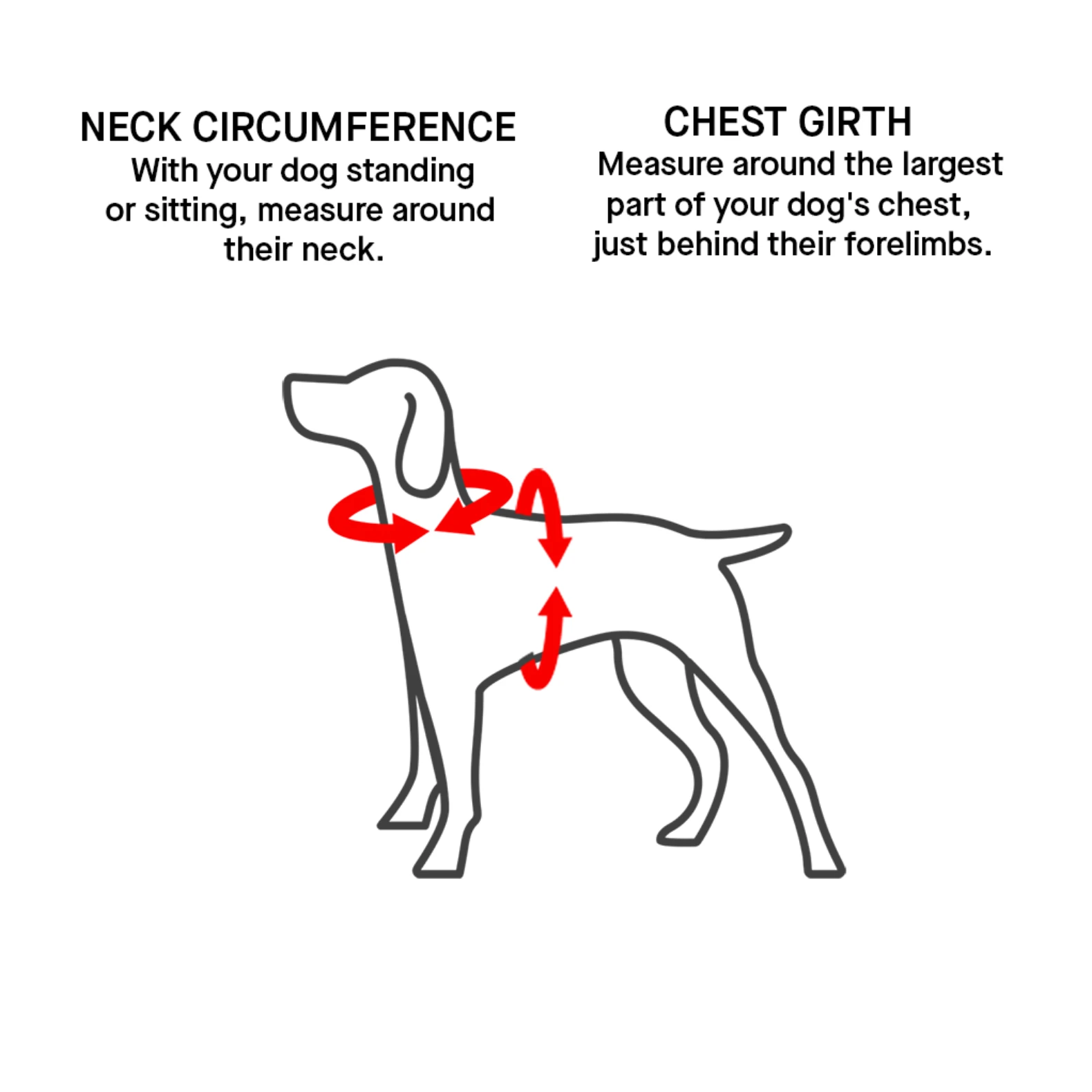 Canada Pooch Waterproof Harness-Blue by Canada Pooch