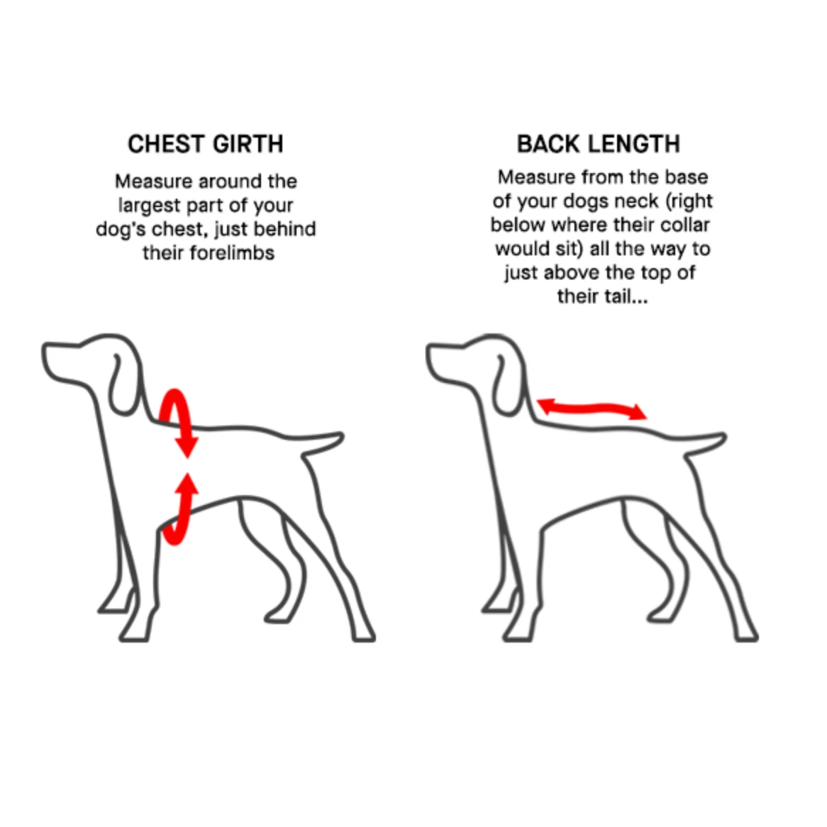 Canada Pooch Shiny Puffer Vest -Iridescent by Canada Pooch